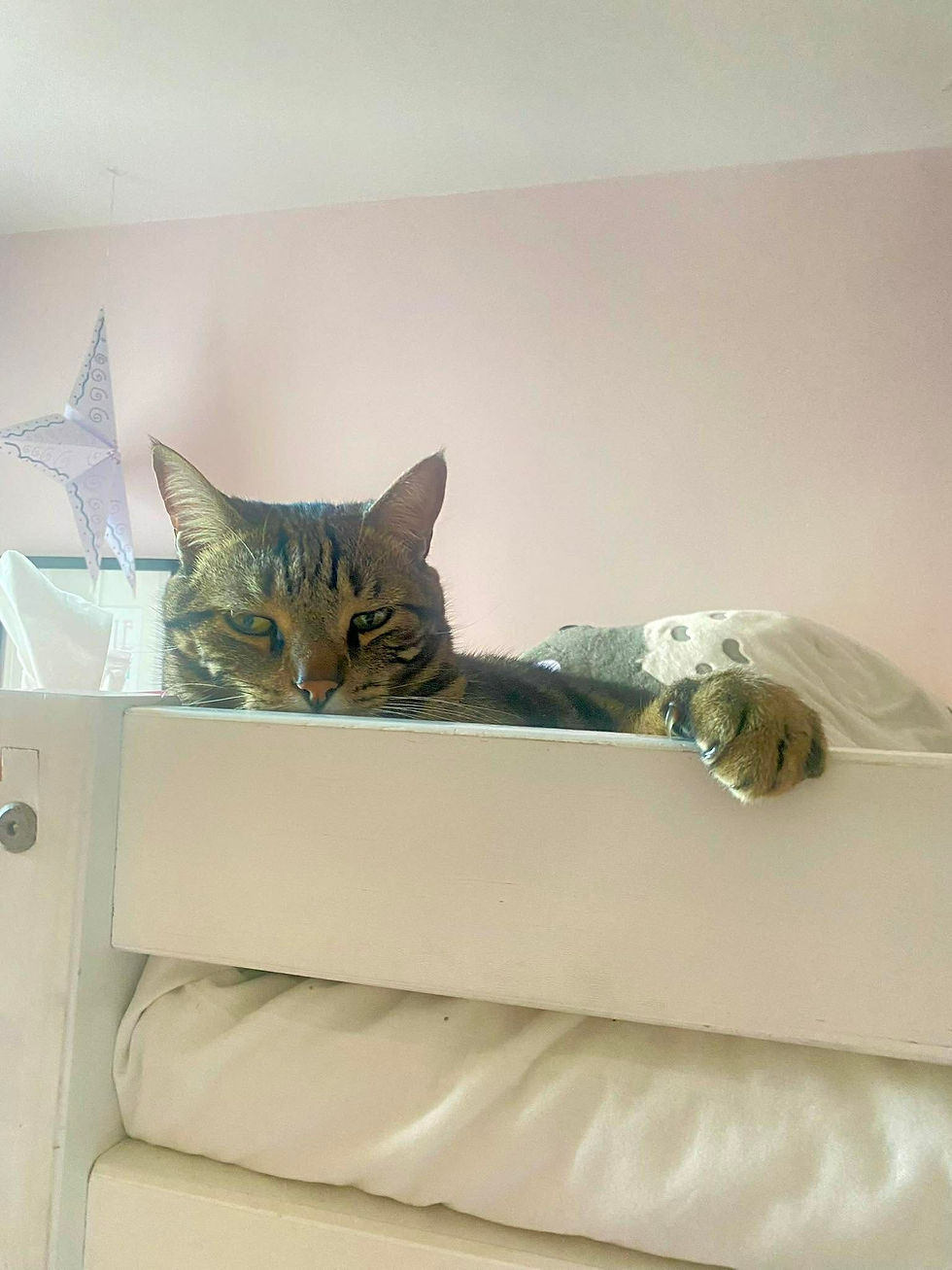 648665595_4280916085506350_8908483802527043543_n