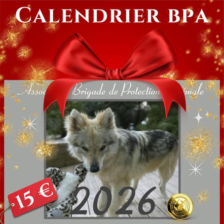 Le Calendrier officiel BPA 2026 est disponible