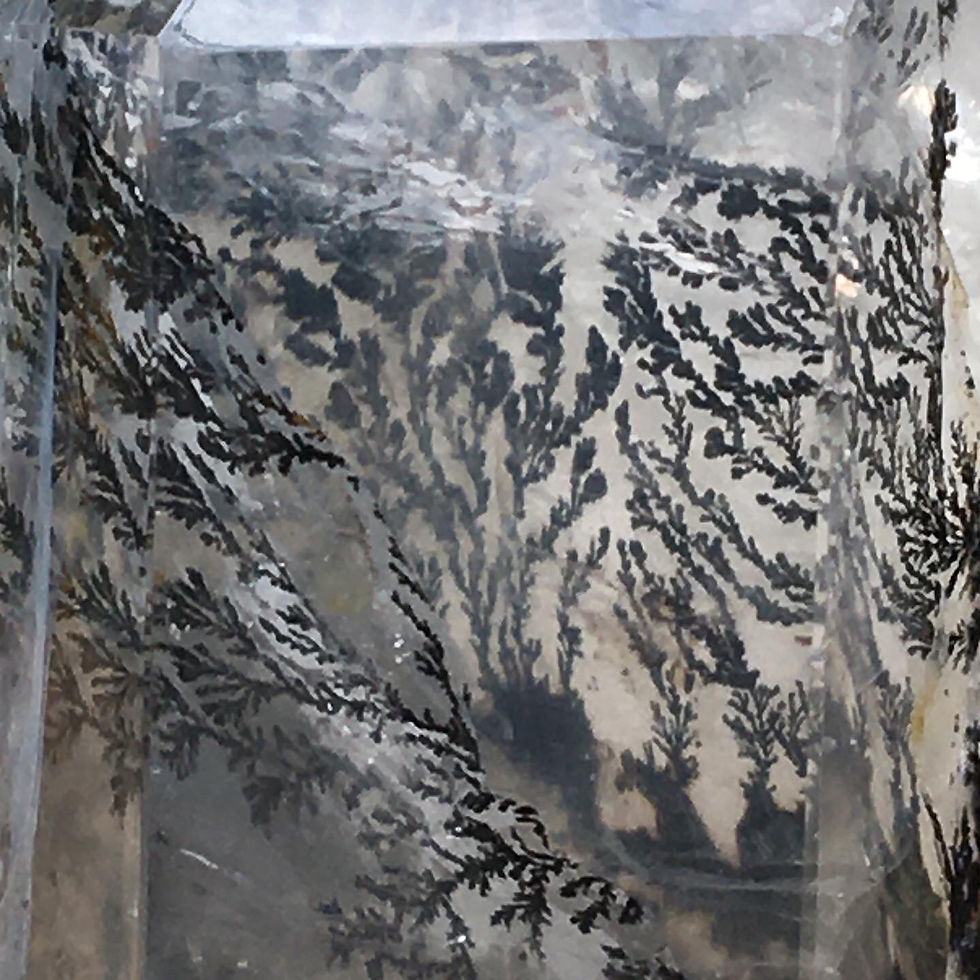 Thumbnail: Dendritic  quartz 