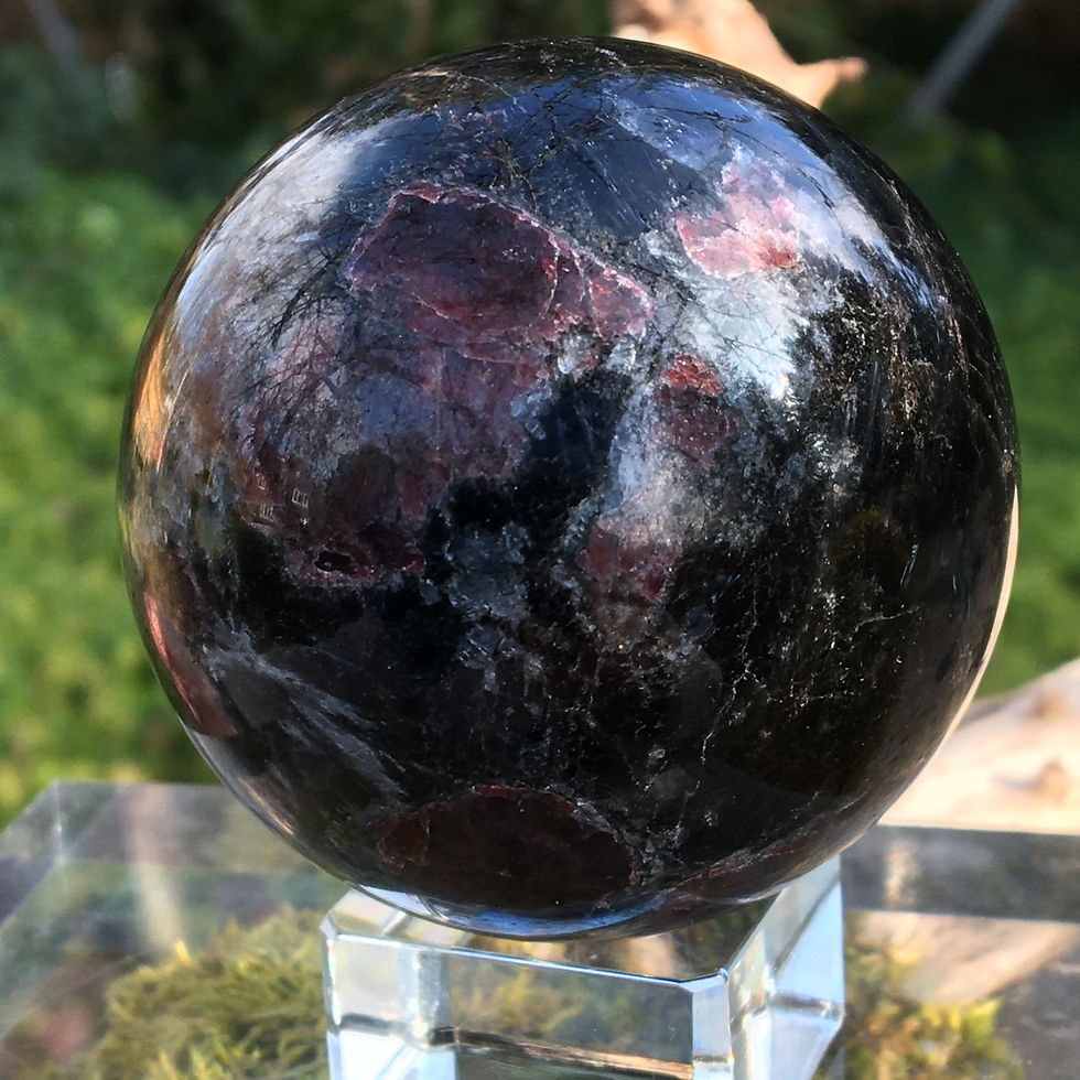 Thumbnail: Garnet in Astrophyllite 