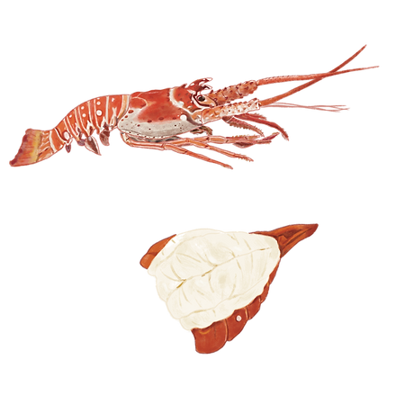 龍蝦三明治—龍蝦（肉）.png