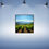 Thumbnail: "VINEYARD" Framed