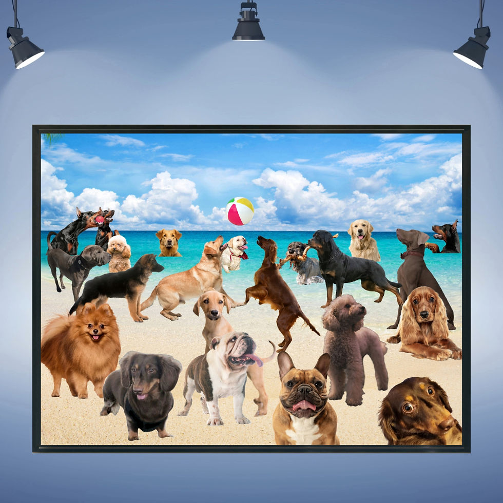 Beach dog park wall art home decor canvas art work