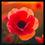 Thumbnail: "ROSE" Framed