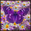 Thumbnail: Butterfly affordable wall art work ocean home decor