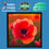 Thumbnail: "ROSE" Framed