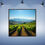 Thumbnail: "VINEYARD" Framed