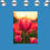 Thumbnail: "CYCLAMEN" GW