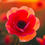 Thumbnail: "ROSE" GW