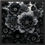 Thumbnail: "ABSTRACT FLOWERS IN BLACK" Framed