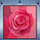Thumbnail: PINK wall art home decor canvas art work