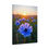 Thumbnail: "ABSTRACT BLUE FLOWER AT SUNSET" GW