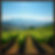 "VINEYARD" Framed