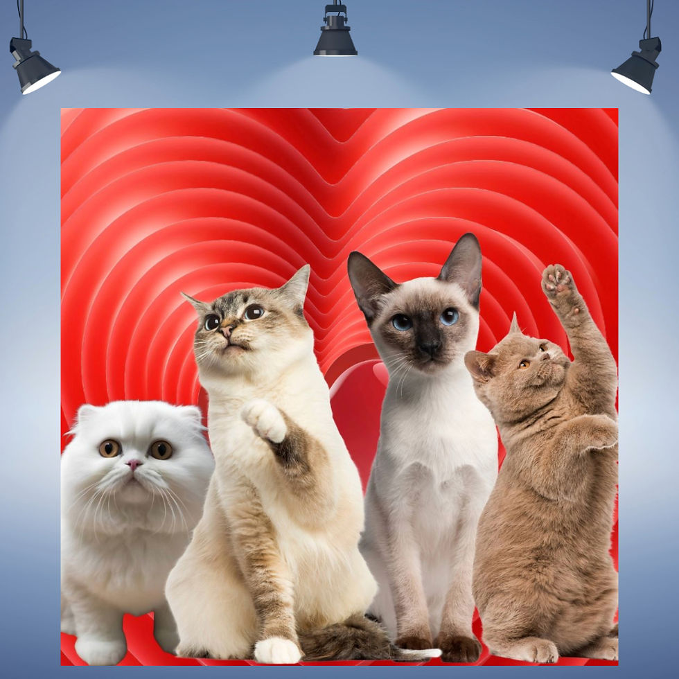 affordable cats wall art home decor canvas art work