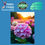 Thumbnail: 'HYDRANGEAS" GW