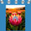 Thumbnail: "ABSTRACT KING PROTEA AT SUNSET" GW