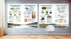 Stands for the Institute of Biology