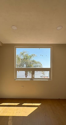 IMG_2341_edited.jpg
