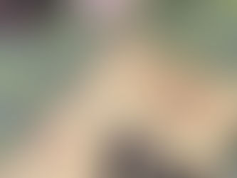 レッスンスタート!