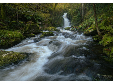 Dolgoch Falls in Flood