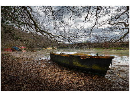 Spring Tide