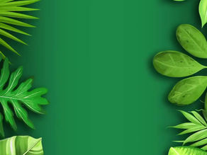 KK姐姐游动物园 EP1