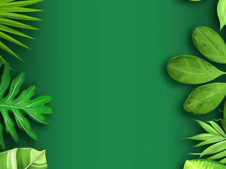 KK 姐姐 （Zoo Keeper 3）