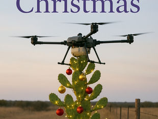 Winter Opportunity: Now Is the Time to Plan for Effective Cactus Control