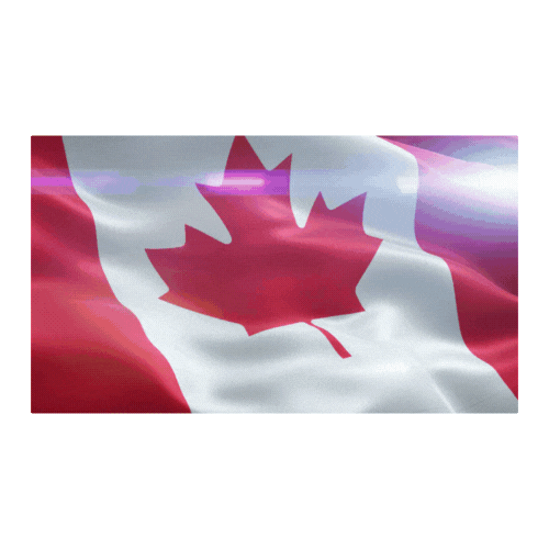 Flag.gif