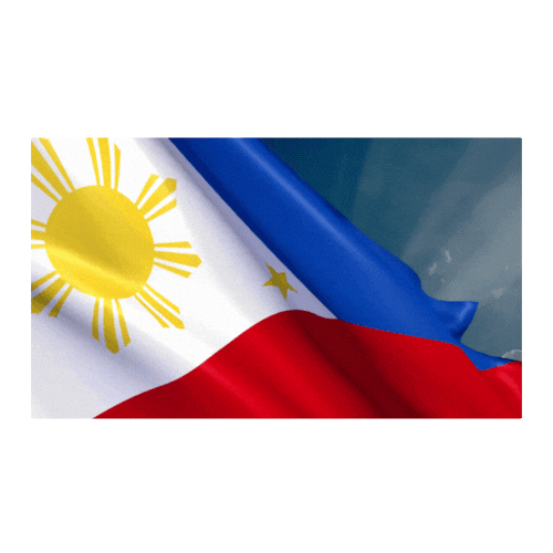 Flag (1).gif