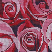 87C Sm Pink Beauty Roses.jpg