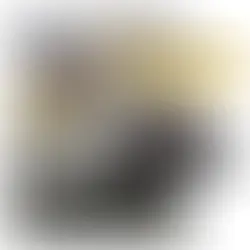 Coleção Chevrolet Ouro #43