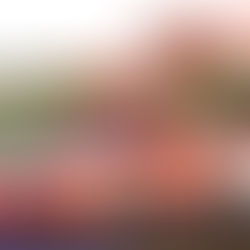 Chevrolet Opala 1987 Zeca Giaffone