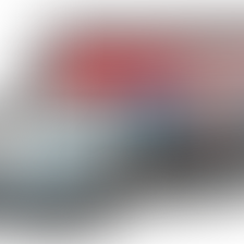 Camiones Argentinos #04