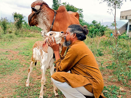 The Story of Mahalakshmi: The Auspicious Gift of Tapovanam