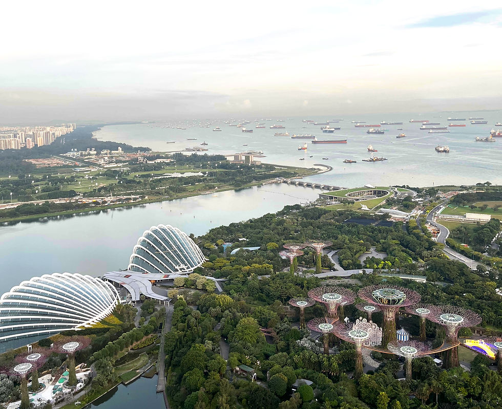 View from Marina Bay Sands with the Supertrees and shipping lanes in the background