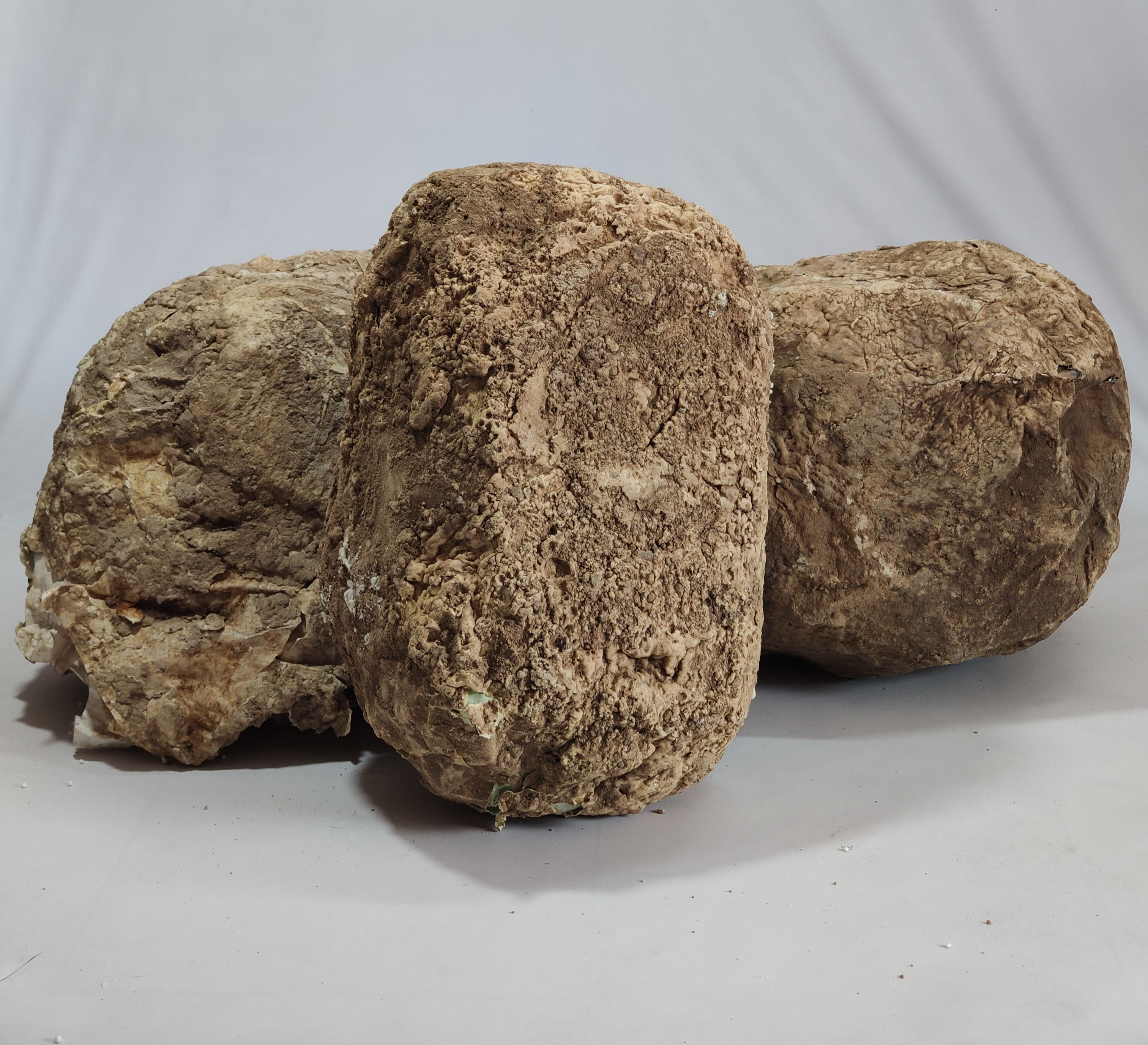 Piedras Gigantes Dummy.