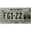 Miniatura: Placa CDMX Auto Clasico FGI-22