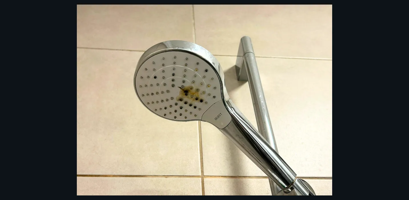 Vízköves zuhanyfej a vízkőoldás előtt