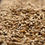 Thumbnail: Gambrinus Honey Malt by Ounce