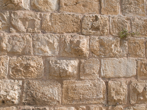 טוביה החולב על שפת הכנרת