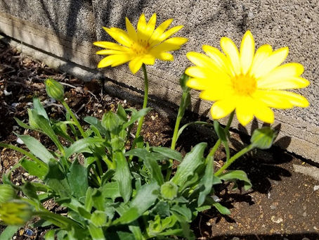 移転のお知らせ