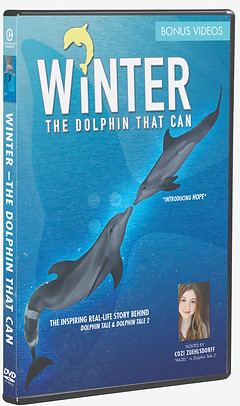 WinterDocumentary%202014%20FakeDVD_edite