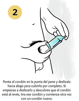 condon masculino02.jpg