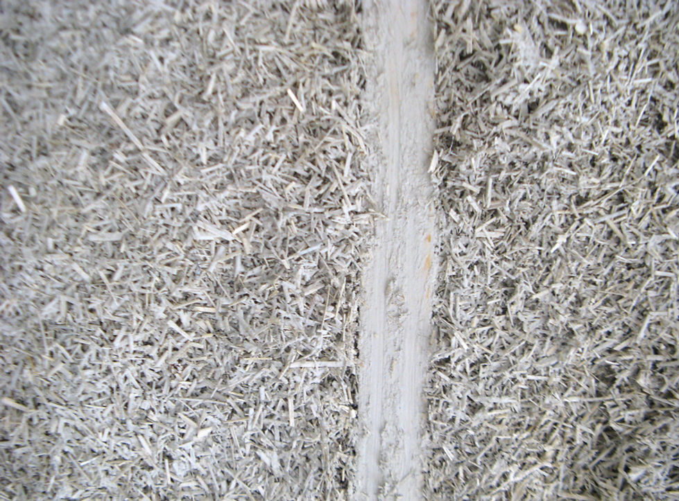 IMG_4615 chevron Trigavou _edited.jpg