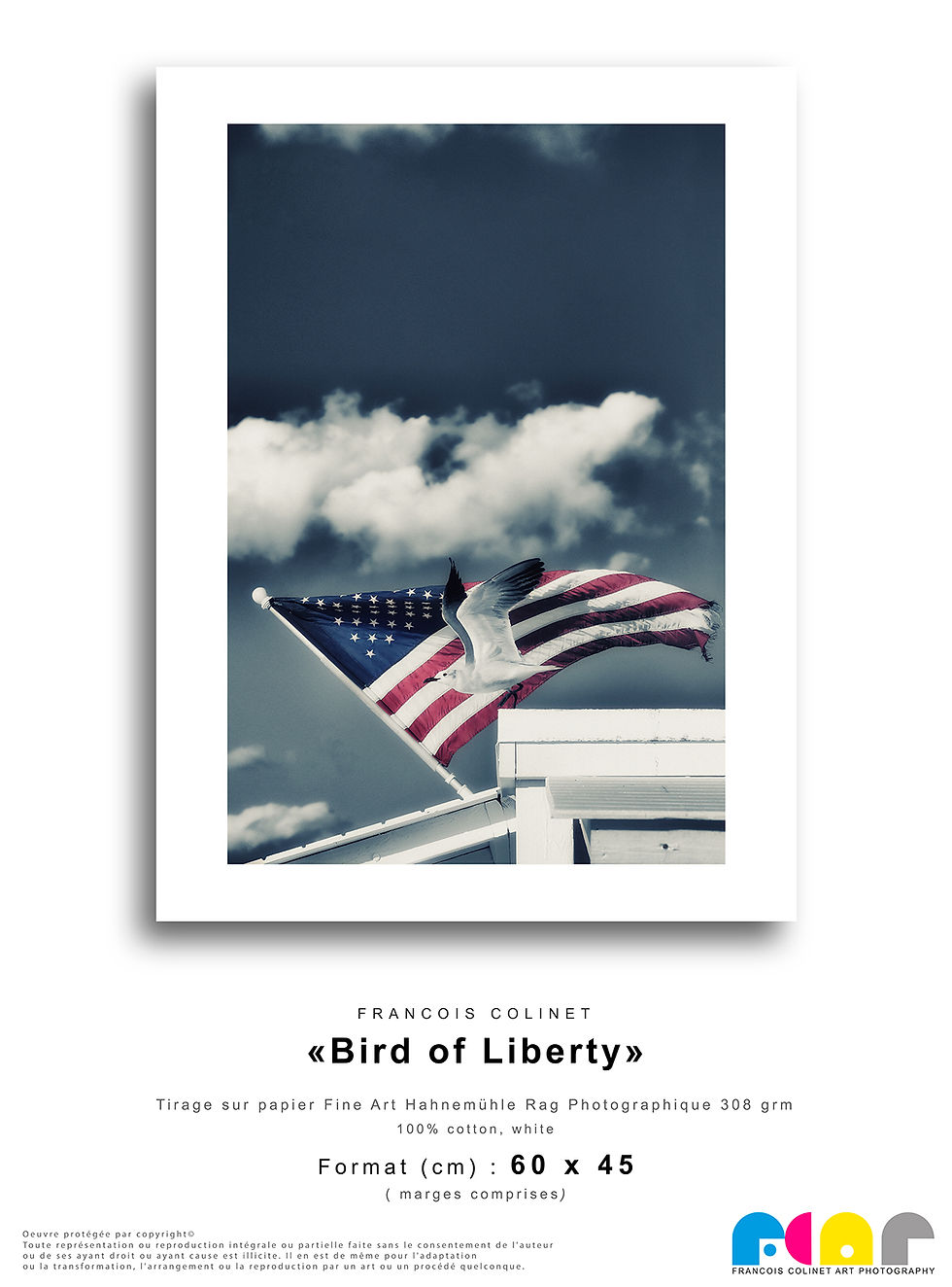 Thumbnail: "BIRD OF LIBERTY", Tirage en Edition Limitée Numérotée, 4 formats disponibles.