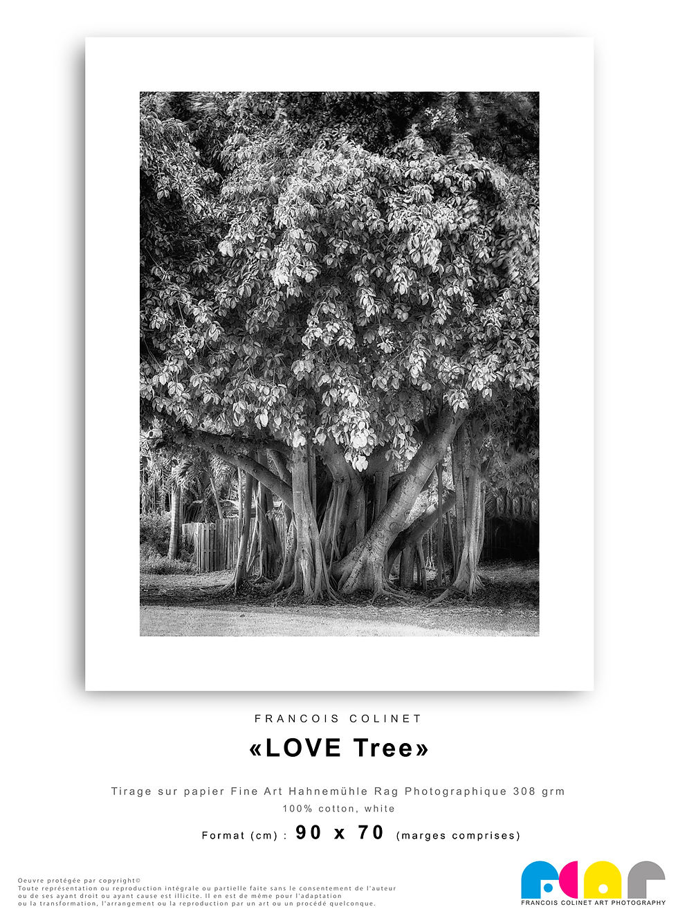 Thumbnail: "LOVE TREE", Tirage en Edition Limitée Numérotée, 4 formats disponibles.