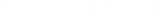 TECH_SIMU_BN (3).png