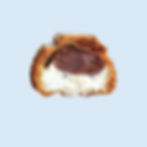Fresh Milk Choco Choux