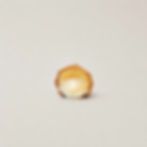 Passion Fruit Vanilla Choux